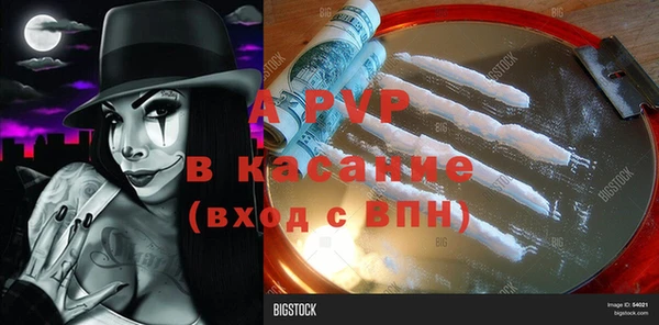 ГАЛЛЮЦИНОГЕННЫЕ ГРИБЫ Кулебаки