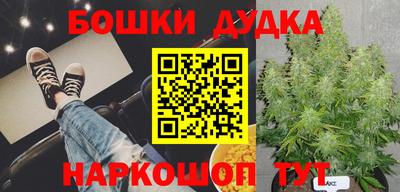 PSILOCYBIN Дубна