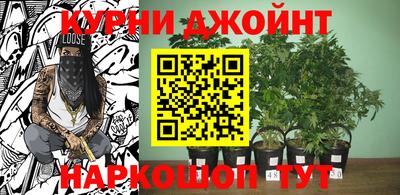 PSILOCYBIN Дубна