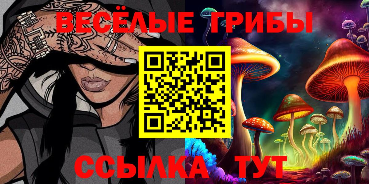 Галлюциногенные грибы Psilocybe Коломна