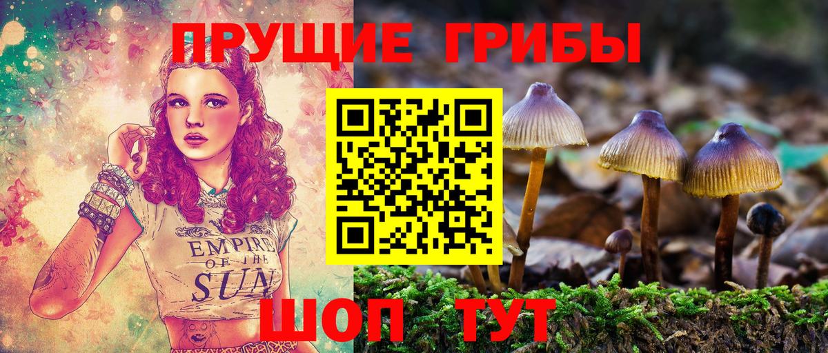 Псилоцибиновые грибы Magic Shrooms  Коломна 